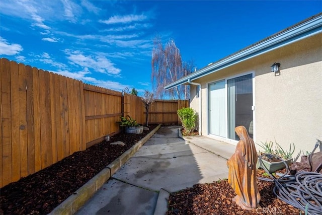 view of yard with a patio