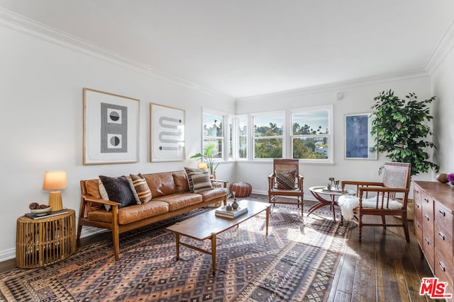 living room featuring dark wood-type flooring and ornamental molding