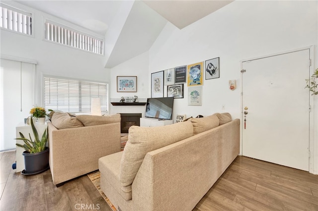 living room with wood-type flooring and high vaulted ceiling