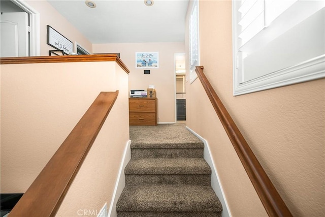 stairs featuring carpet floors