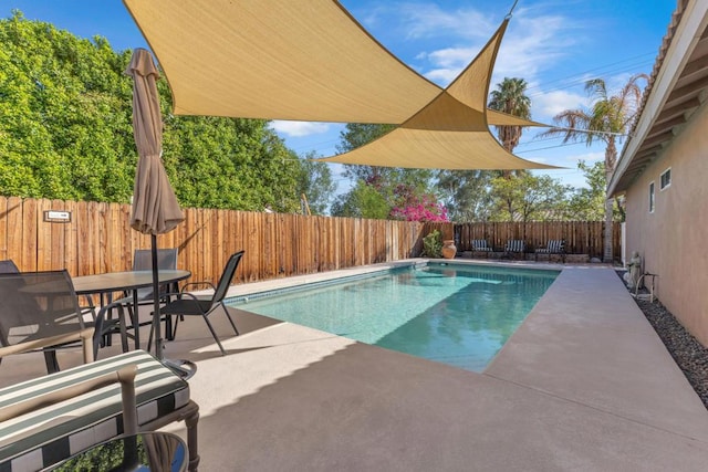 view of pool with a patio