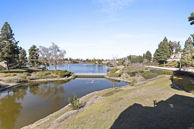 view of water feature