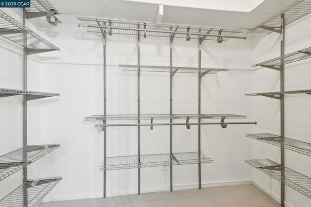 view of walk in closet