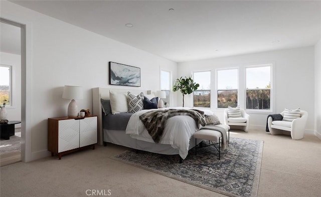 bedroom with carpet floors