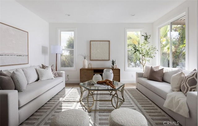 living room with a healthy amount of sunlight and light hardwood / wood-style floors