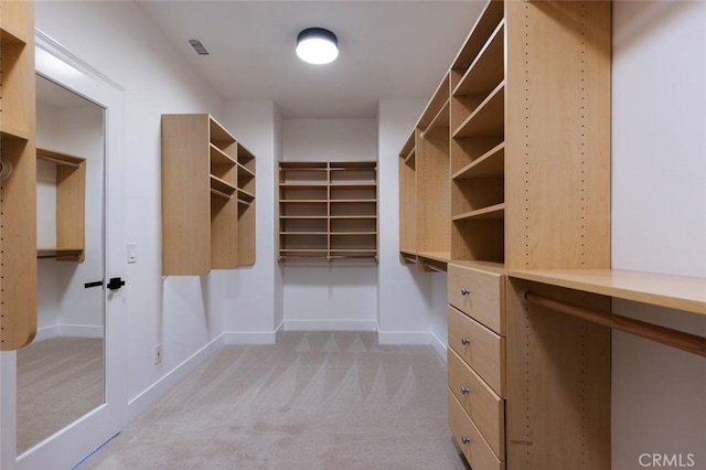 spacious closet with light colored carpet