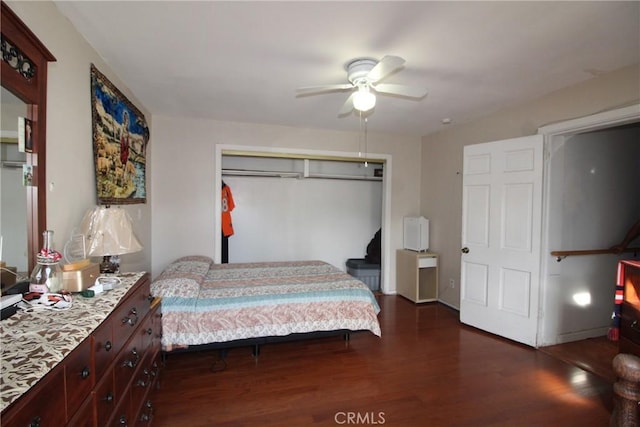 bedroom with dark wood-type flooring, ceiling fan, and a closet