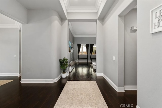 hallway featuring crown molding and dark hardwood / wood-style flooring