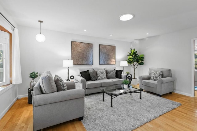 living room featuring hardwood / wood-style floors