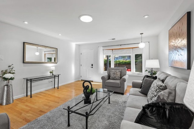 living room featuring wood-type flooring