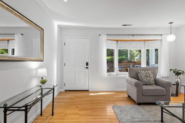 entrance foyer with light hardwood / wood-style floors