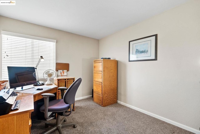 home office with carpet flooring