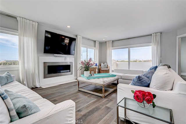 living room with hardwood / wood-style floors