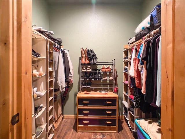 walk in closet featuring hardwood / wood-style flooring