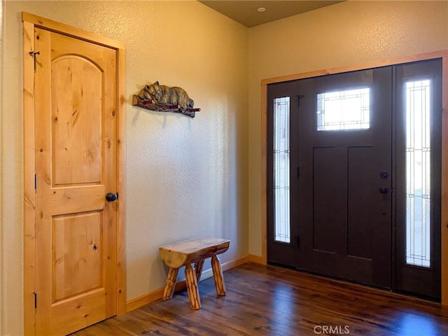 foyer entrance with dark wood-type flooring