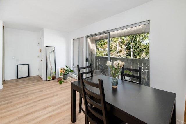 dining room with light hardwood / wood-style floors