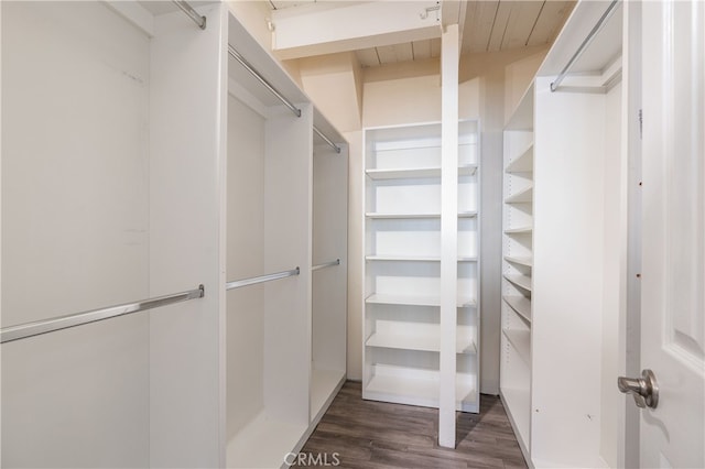 walk in closet featuring dark hardwood / wood-style floors