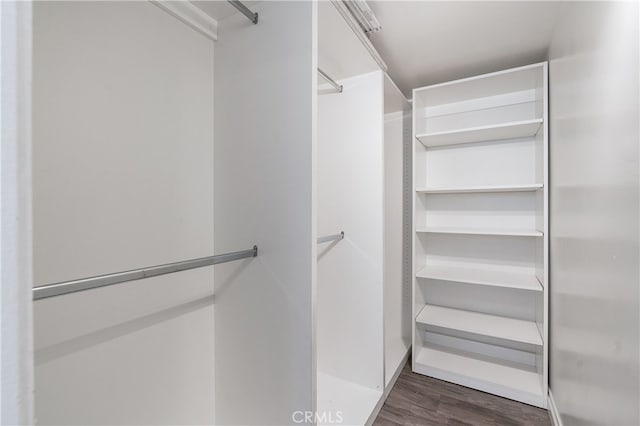 spacious closet with dark hardwood / wood-style floors