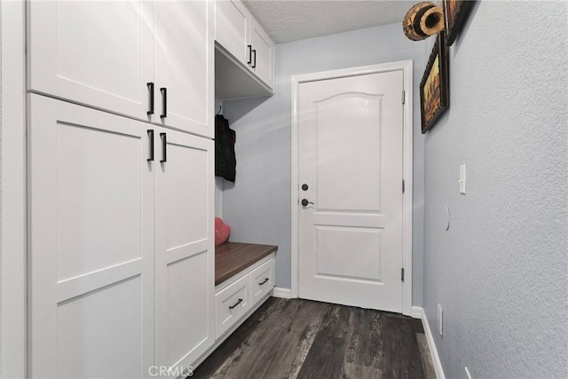 mudroom featuring dark wood-type flooring and a textured ceiling