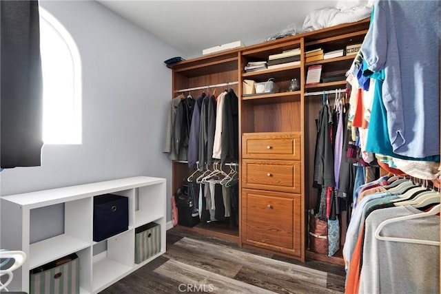 spacious closet featuring dark wood-type flooring