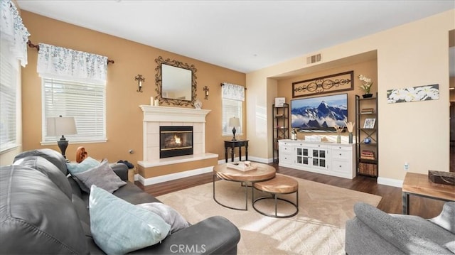 living room with a fireplace and dark hardwood / wood-style flooring