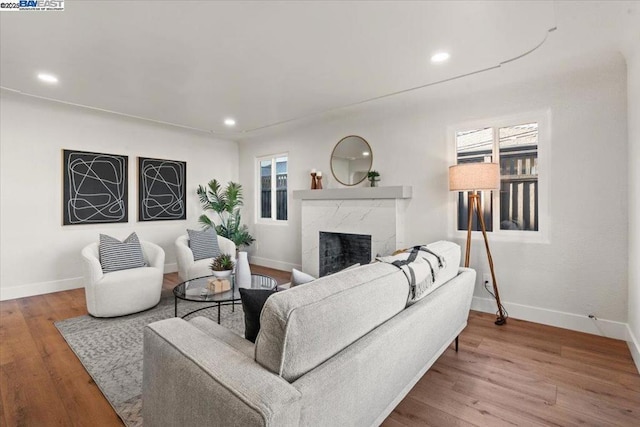 living room with a fireplace and wood-type flooring