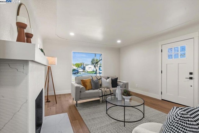 living room featuring light wood-type flooring