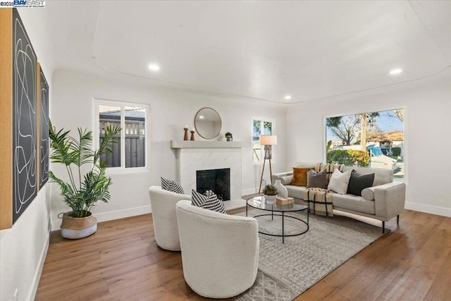 living room with a premium fireplace and hardwood / wood-style floors