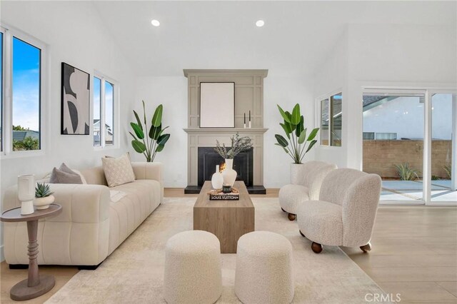 living room featuring lofted ceiling and light wood-type flooring