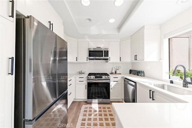 kitchen featuring sink, white cabinets, light hardwood / wood-style floors, a tray ceiling, and stainless steel appliances