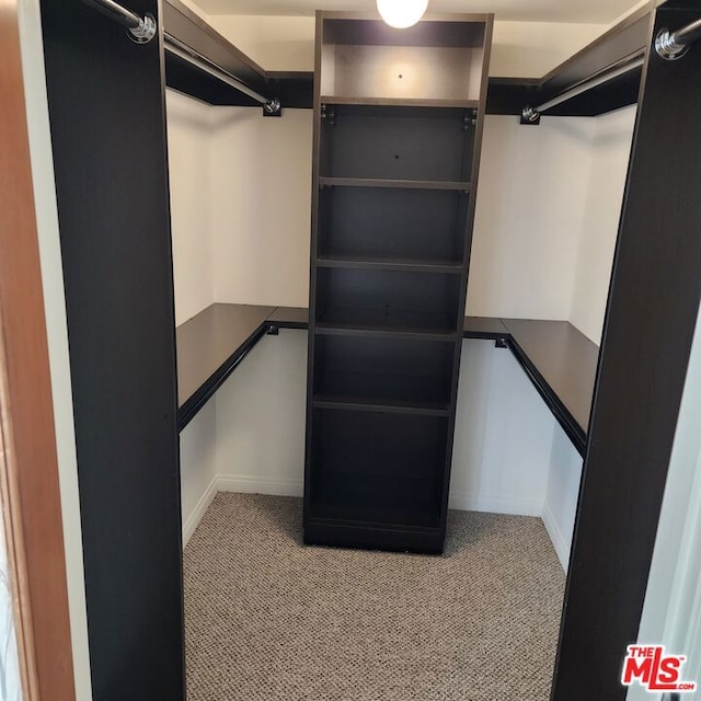 spacious closet with light colored carpet