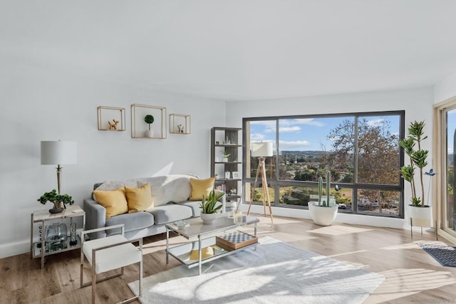 living room featuring hardwood / wood-style floors