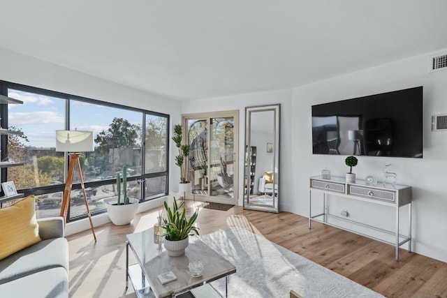 living room with wood-type flooring