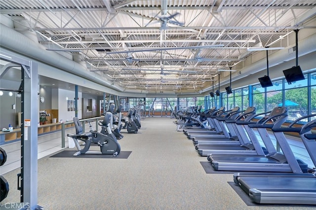 workout area featuring a healthy amount of sunlight