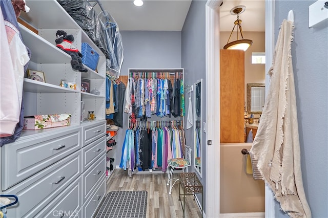 spacious closet featuring light hardwood / wood-style flooring