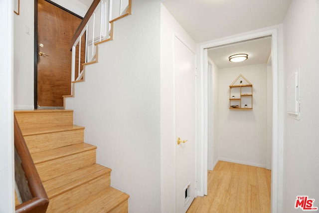 staircase with wood-type flooring