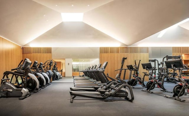 workout area with vaulted ceiling