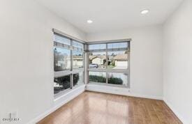 spare room featuring wood-type flooring