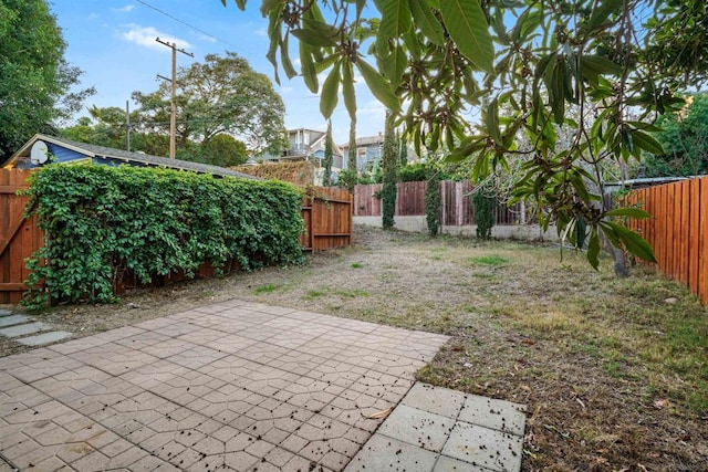 view of yard with a patio area