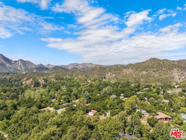 view of mountain feature