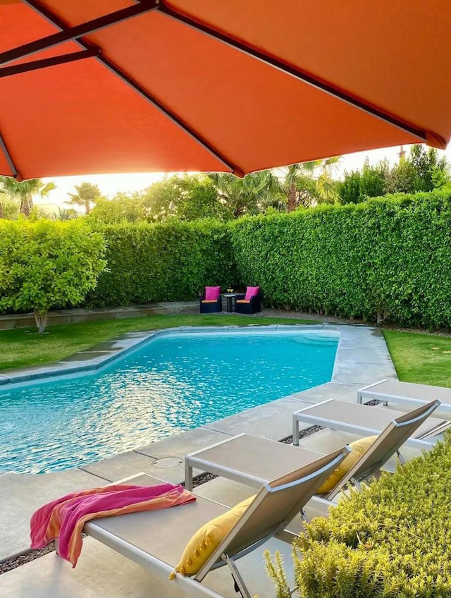 view of pool with a patio area