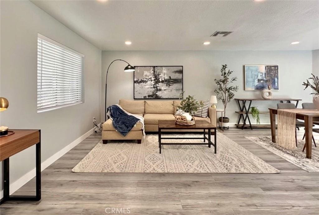 living room featuring hardwood / wood-style flooring