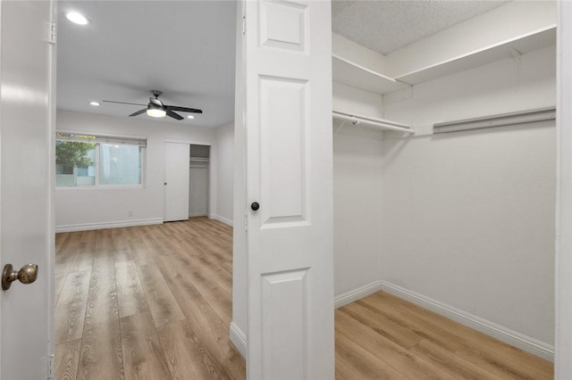 walk in closet with ceiling fan and light wood-type flooring