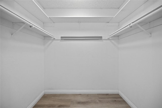 spacious closet featuring hardwood / wood-style flooring