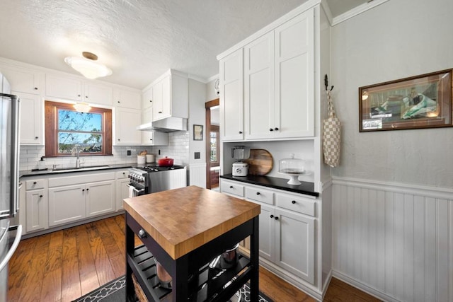 kitchen with high end stainless steel range, sink, white cabinetry, dark hardwood / wood-style floors, and decorative backsplash