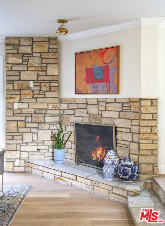 details featuring crown molding, a fireplace, and hardwood / wood-style floors