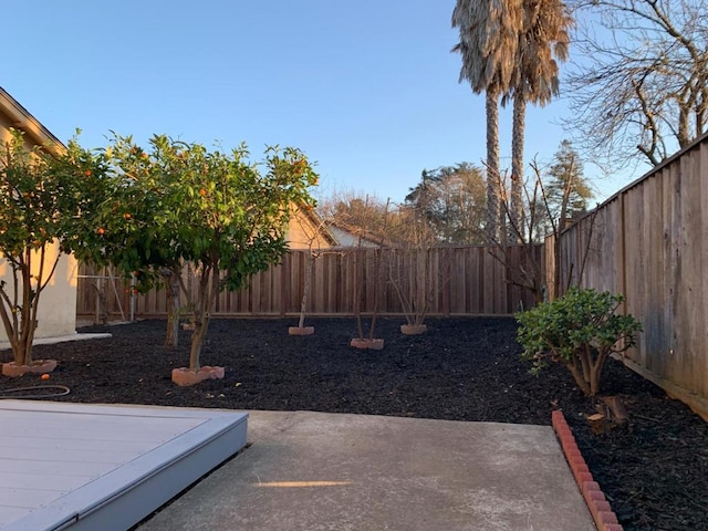 view of yard featuring a patio