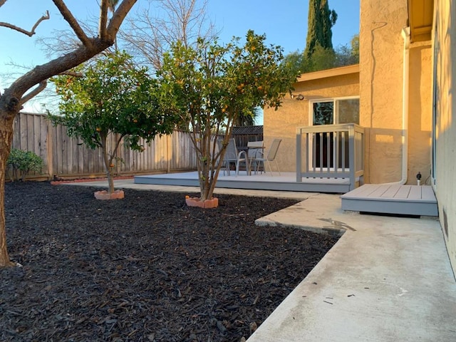 view of yard featuring a deck and a patio area