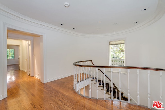 corridor featuring ornamental molding and light wood-type flooring