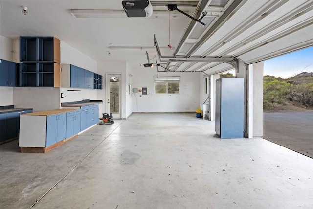 24916 Bareta Star Ranch Rd, Ramona, CA 92065 - garage featuring a garage door opener and electric panel